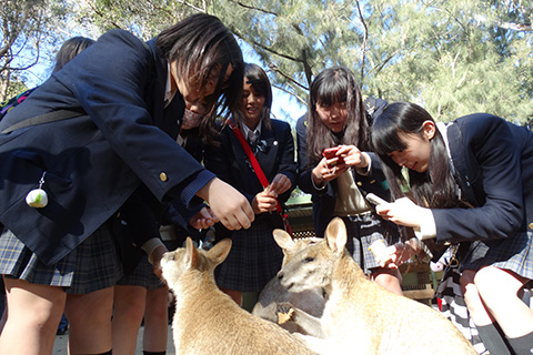 修学旅行第4日目